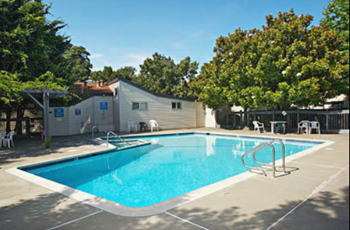 Pool and spa